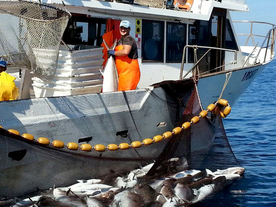 Hotel Ristorante Marinella - Imbarcazioni e mercato del pesce